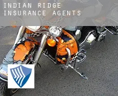 Indian Ridge  insurance agents