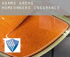 Adams Grove  homeowners insurance