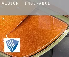 Albion  insurance