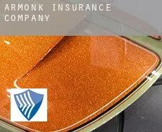 Armonk insurance company