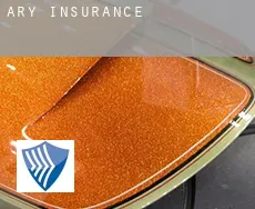 Ary  insurance