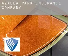 Azalea Park  insurance company