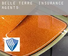 Belle Terre  insurance agents