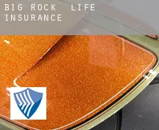 Big Rock  life insurance