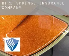 Bird Springs  insurance company