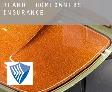 Bland  homeowners insurance