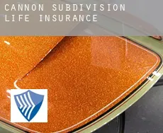 Cannon Subdivision  life insurance