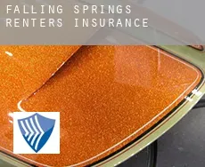 Falling Springs  renters insurance