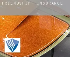 Friendship  insurance