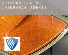 Graydon Springs  insurance agents