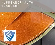 Kupreanof  auto insurance