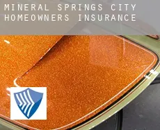 Mineral Springs City  homeowners insurance