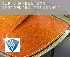 Old Shawneetown  homeowners insurance