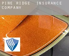 Pine Ridge  insurance company