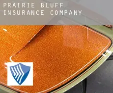 Prairie Bluff  insurance company