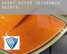 Saint Peter  insurance agents