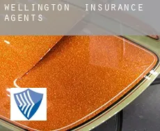 Wellington  insurance agents
