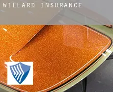 Willard  insurance