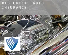 Big Creek  auto insurance