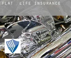 Flat life insurance
