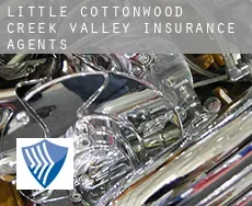 Little Cottonwood Creek Valley  insurance agents