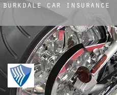 Burkdale  car insurance