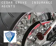 Cedar Grove  insurance agents