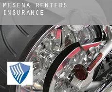 Mesena  renters insurance