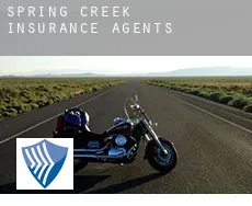 Spring Creek  insurance agents