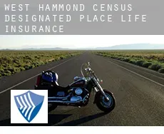 West Hammond  life insurance