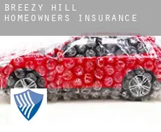 Breezy Hill  homeowners insurance