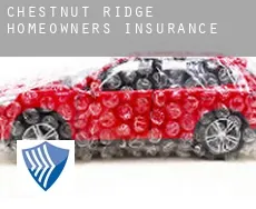 Chestnut Ridge  homeowners insurance
