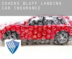 Cohens Bluff Landing  car insurance