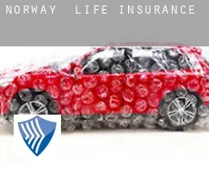 Norway  life insurance