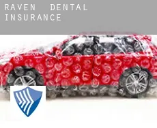 Raven  dental insurance