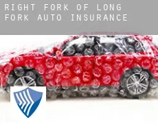 Right Fork of Long Fork  auto insurance