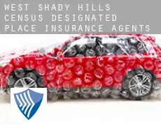 West Shady Hills  insurance agents