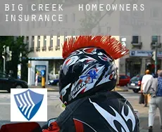 Big Creek  homeowners insurance