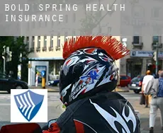 Bold Spring  health insurance