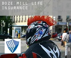 Boze Mill  life insurance