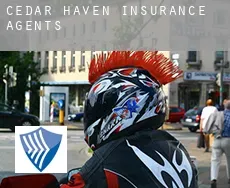 Cedar Haven  insurance agents