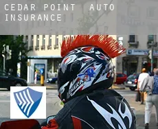 Cedar Point  auto insurance