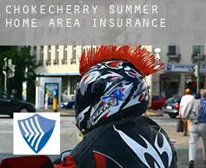 Chokecherry Summer Home Area  insurance