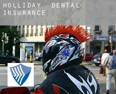 Holliday dental insurance