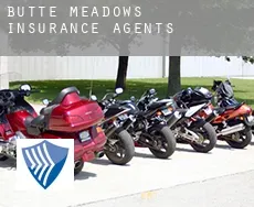 Butte Meadows  insurance agents