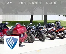 Clay  insurance agents