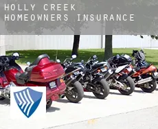 Holly Creek homeowners insurance