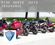 Pine Grove  auto insurance
