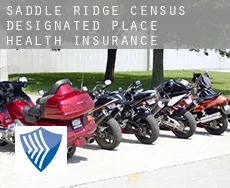 Saddle Ridge  health insurance