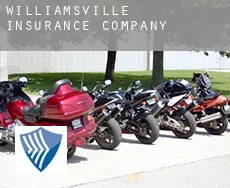 Williamsville  insurance company